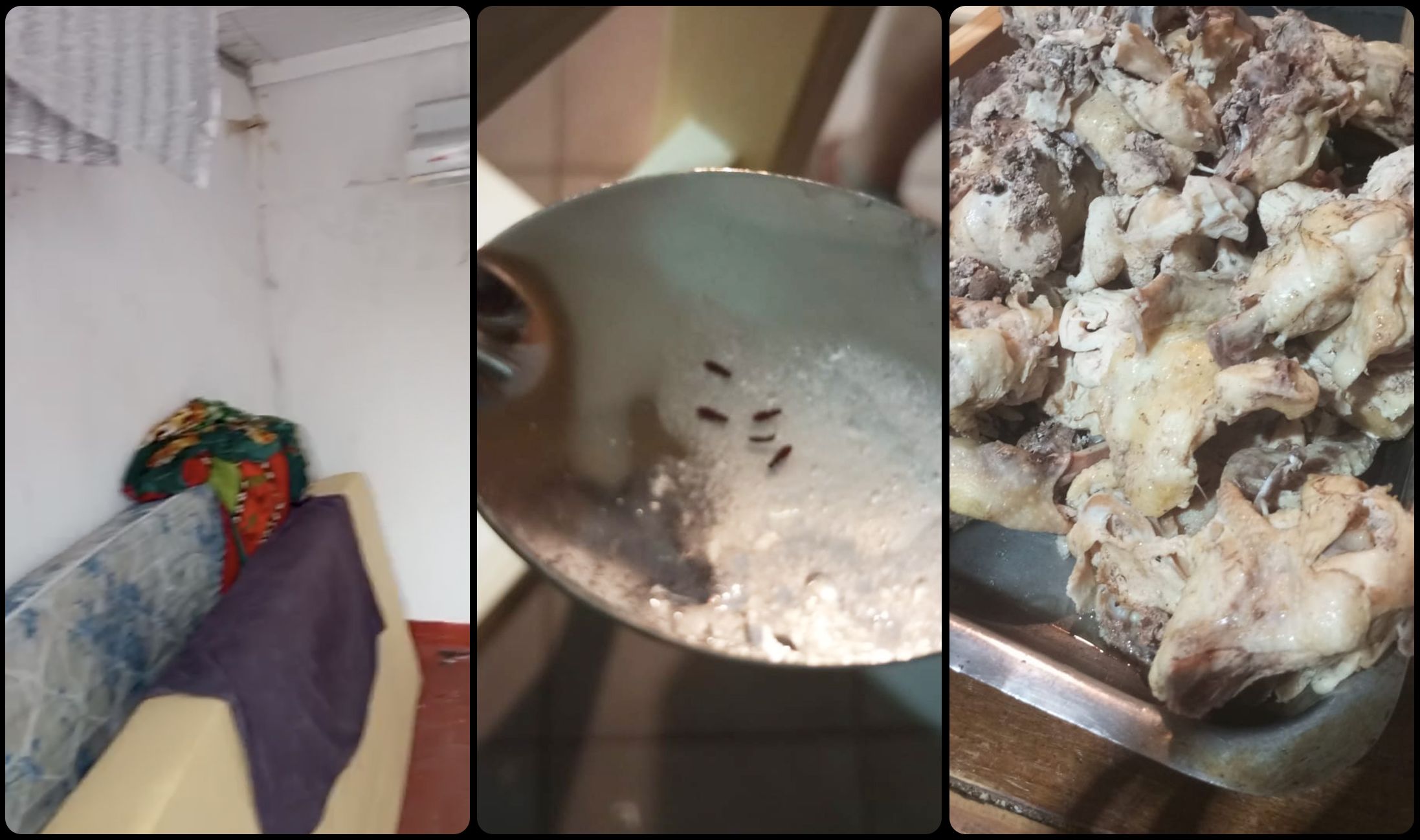阿根廷足球青训黑幕：梦想工厂背后的残酷系统
